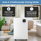 20L Dehumidifier for Home and Basement