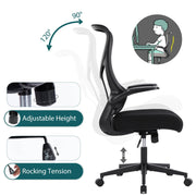 Ergonomic office chair with adjustable height, rocking tension, and armrest features on a white background.