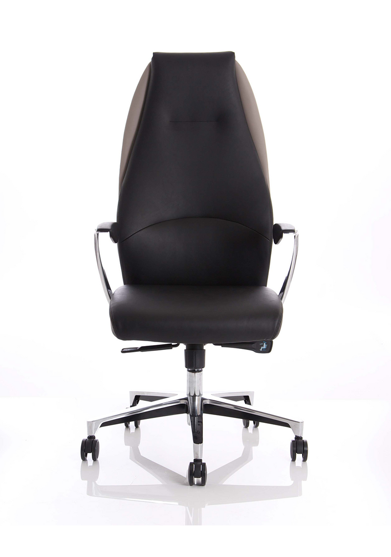 Mien Executive Chair - Black and Mink back view