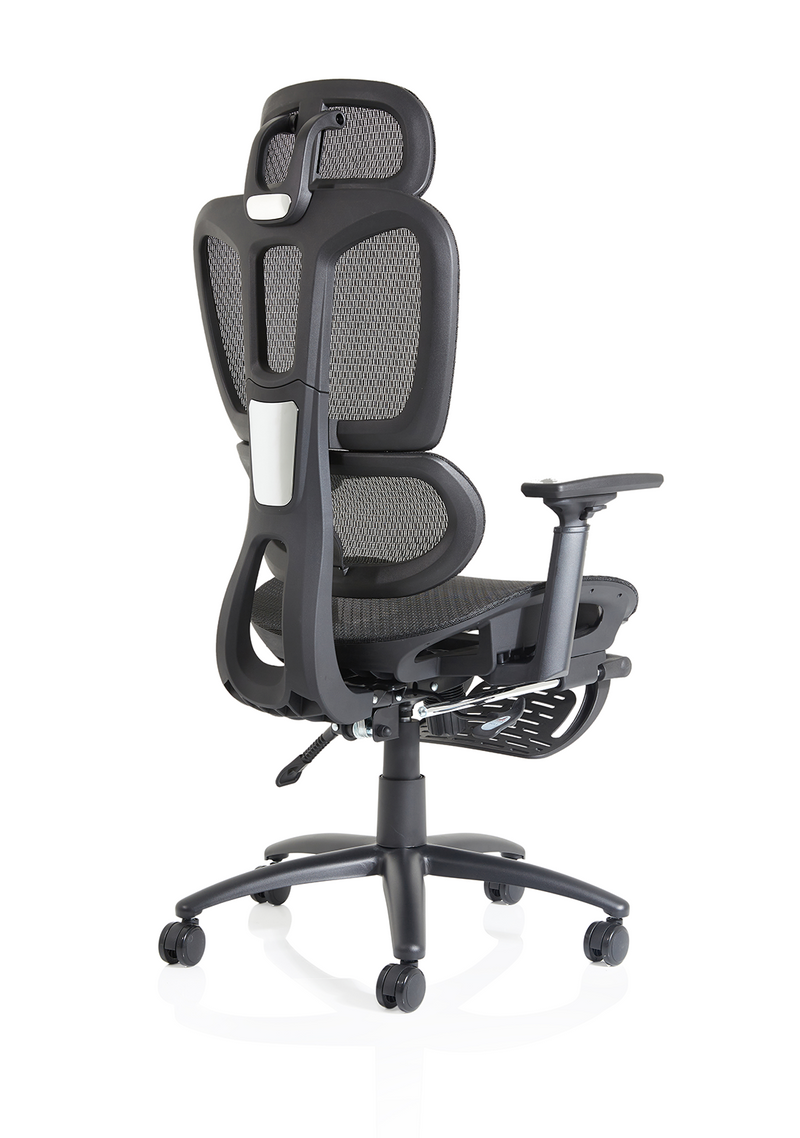 Horizon Executive Mesh Chair - back view