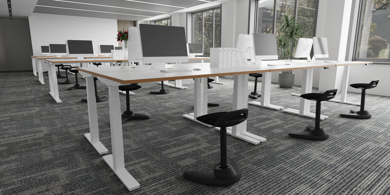 Dynamic Oslo Air Height Adjustable Desk - White Top Natural Wood Edge White Frame
