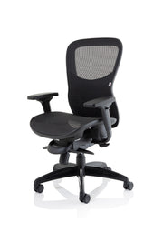 Stealth Shadow High Mesh Back Ergonomic Posture Chair – Black Mesh, back view