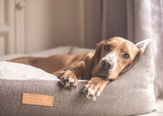 THE LINCOLN - LUXURY TWEED BOLSTER DOG BED - image 12