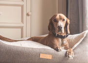 THE LINCOLN - LUXURY TWEED BOLSTER DOG BED - image 2