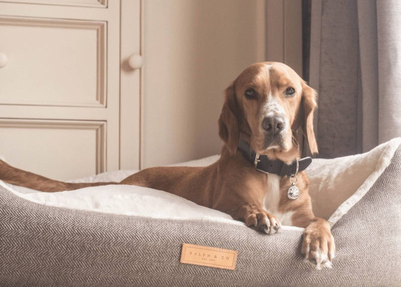 THE LINCOLN - LUXURY TWEED BOLSTER DOG BED - image 2