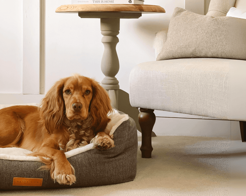 THE LINCOLN - LUXURY TWEED BOLSTER DOG BED - image 7